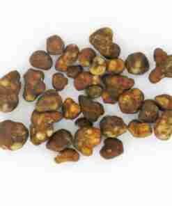 Trufas Mágico Hollandia