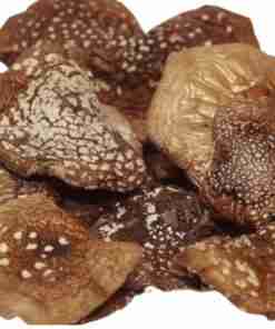 Amanita-Phanterina-Capelas-Cap-Divino