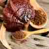 Ganoderma Lucidum